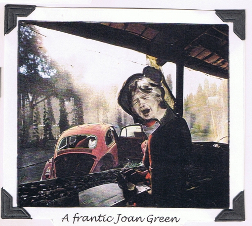 Frantic Joan Green